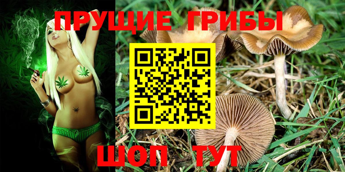 Галлюциногенные грибы Magic Shrooms Изобильный